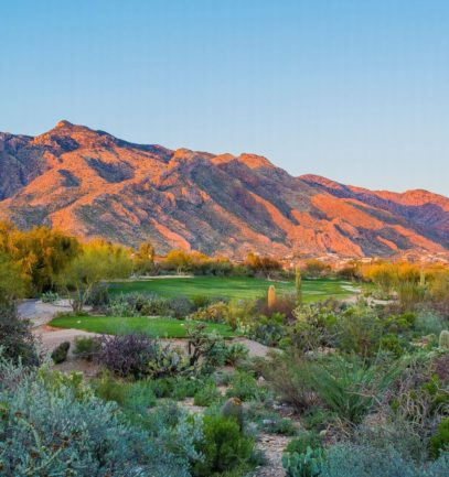 The Westin La Paloma