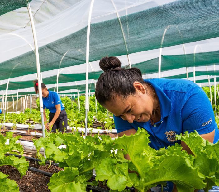 Reserva Conchal Golf Club Staff Tending To Garden
