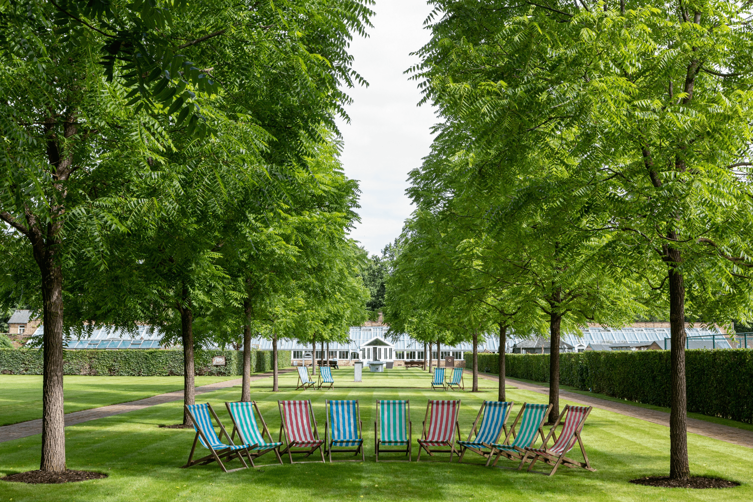 Deckchairs laid out ready for people to enjoy the weather in The Walled Garden at The Grove