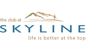 Elevate Your Lifestyle at Skyline